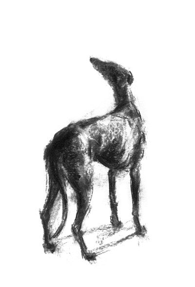 Hope Sighthound Sketch Print