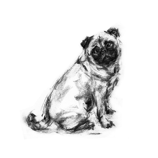 Pug Sitting Sketch Print