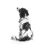 Sitting Springer Spaniel Sketch Print