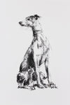 SOLD - Whippet Turning Charcoal sketch ORIGINAL