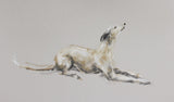 SOLD "Blissful" whippet pastel ORIGINAL dog drawing FRAMED