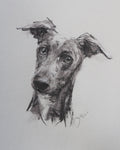 "The Gaze" pastel ORIGINAL dog drawing