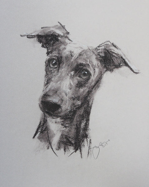 "The Gaze" pastel ORIGINAL dog drawing