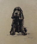 SOLD Cocker Spaniel Pastel on Paper - Original Drawing