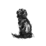 Cocker Spaniel Sketch Print