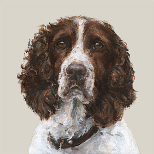 Springer Spaniel Print Modern Dog art print of a Springer Spaniel painting – PaintMyDog | Dog ...