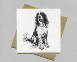 Sitting Springer Fine art card