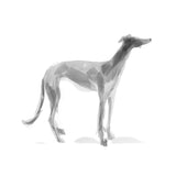 Sighthound Standing Ink Sketch Print