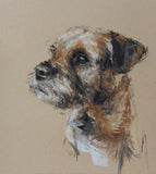 SOLD Border Terrier portrait pastel sketch ORIGINAL