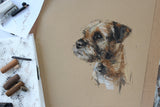 Border terrier print, border terrier art, sketch of a border terrier