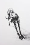 SOLD "The Long Stretch" Charcoal sketch ORIGINAL