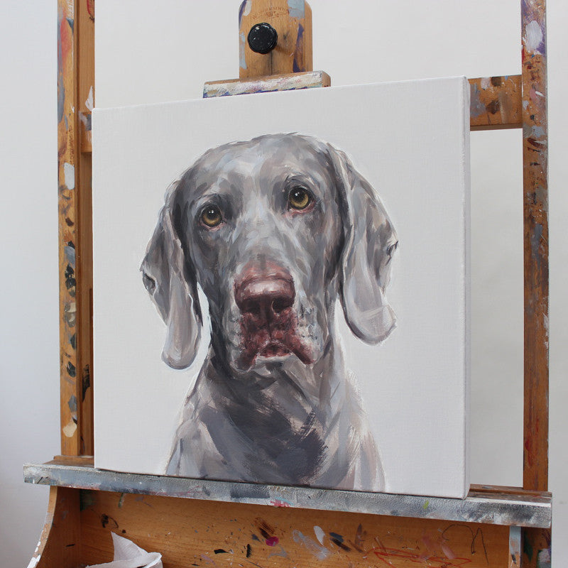 Weimaraner Portrait ORIGINAL dog painting of a Weimaraner