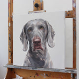 SOLD Weimaraner Portrait Oil Painting ORIGINAL