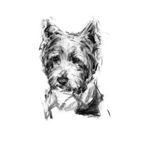 "Pensive" Westie Sketch Print