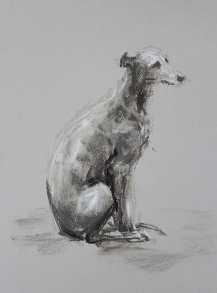 SOLD Whippet study pastel ORIGINAL dog drawing