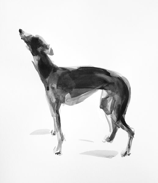 SOLD Whippet standing ink and wash drawing - ORIGINAL
