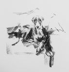 SOLD Whippet on Sofa Charcoal sketch ORIGINAL