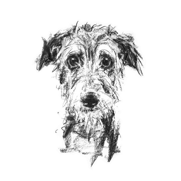 Lurcher "Winsome"  Sketch Print